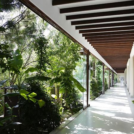 The Lifeco Bodrum Well-Being Detox Center And Vegan Hotel (Adults Only) Golturkbuku Bagian luar foto