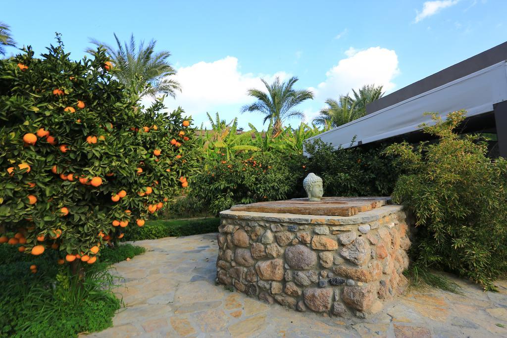 The Lifeco Bodrum Well-Being Detox Center And Vegan Hotel (Adults Only) Golturkbuku Bagian luar foto