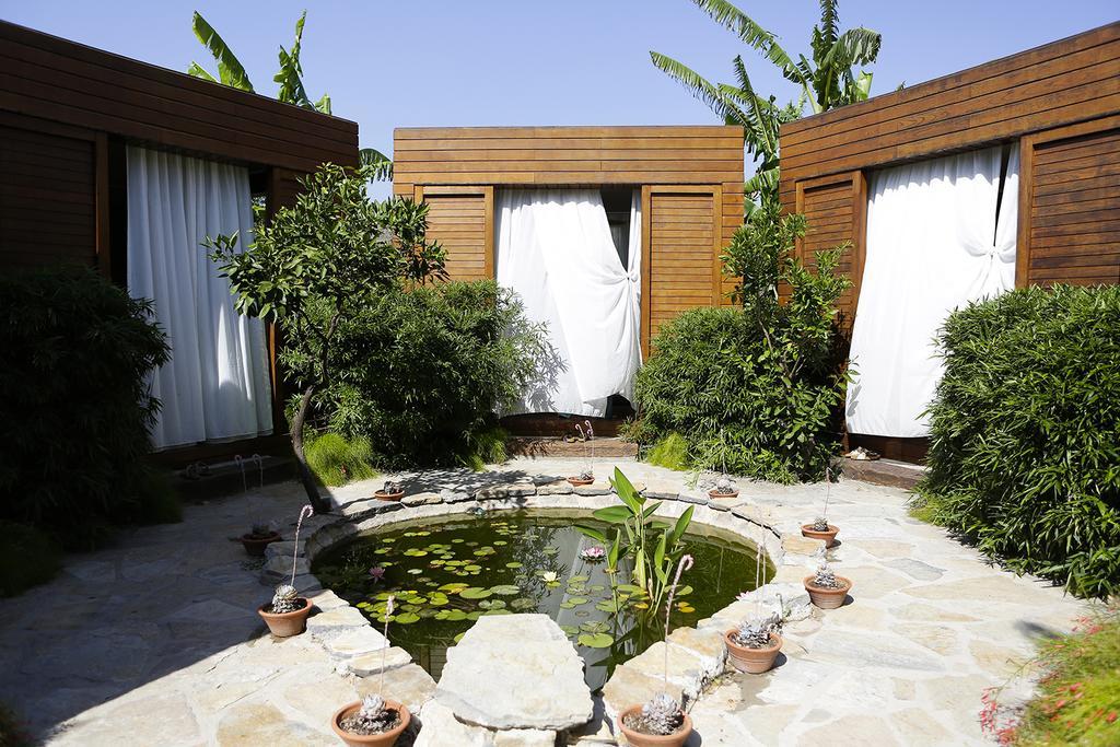The Lifeco Bodrum Well-Being Detox Center And Vegan Hotel (Adults Only) Golturkbuku Bagian luar foto